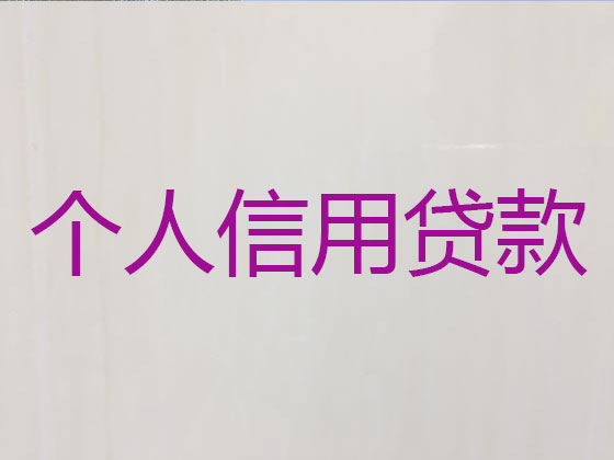 三明抵押贷款公司-银行信用贷款